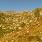 Il sentiero del vallone (foto F. Chiaretta)